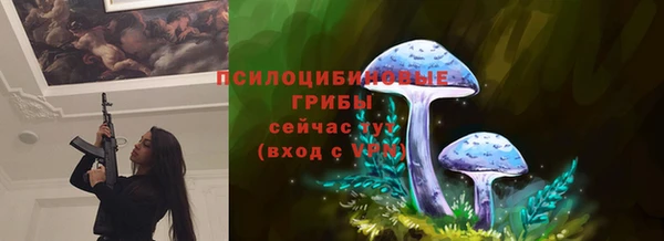 метамфетамин Алексин
