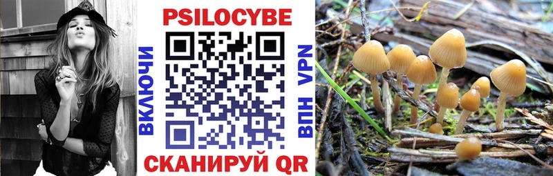 Псилоцибиновые грибы Psilocybine cubensis наркота Гаврилов Посад